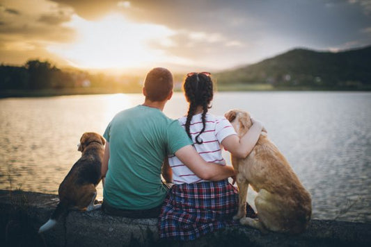 Unique Pet Loss Gifts to Comfort Your Pet Lover Friends - Solamore
