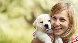 Pet Memorial Garden Ideas for Your Beloved Pet - Solamore