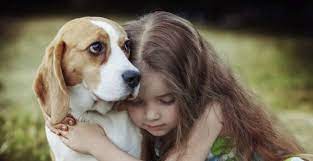 Animal Urns for Pet Ashes - Solamore